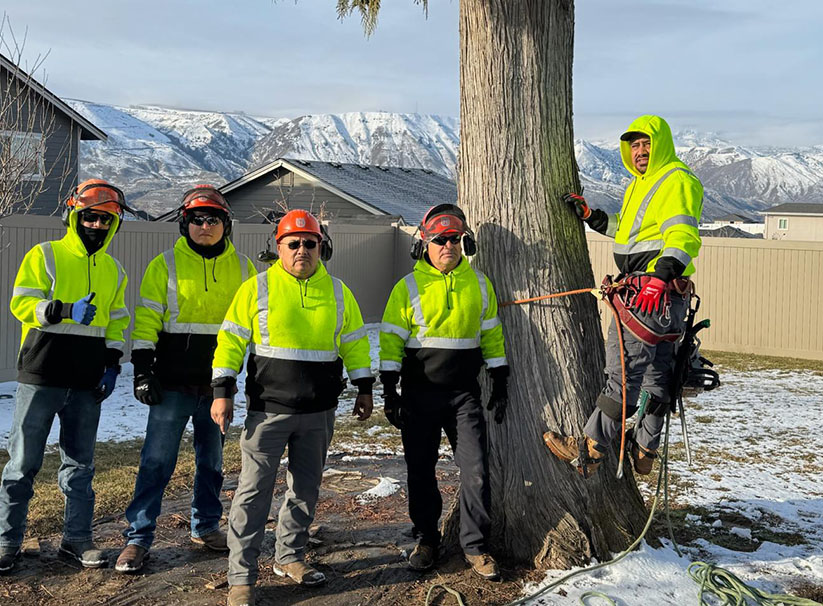 P & H Tree Service and Landscaping LLC