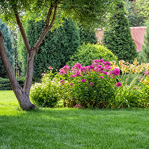 P & H Tree Service and Landscaping LLC