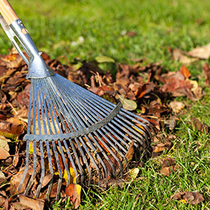 P & H Tree Service and Landscaping LLC